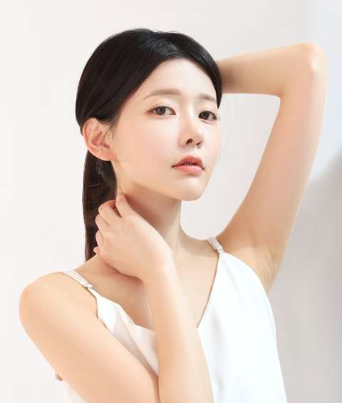 about_model02