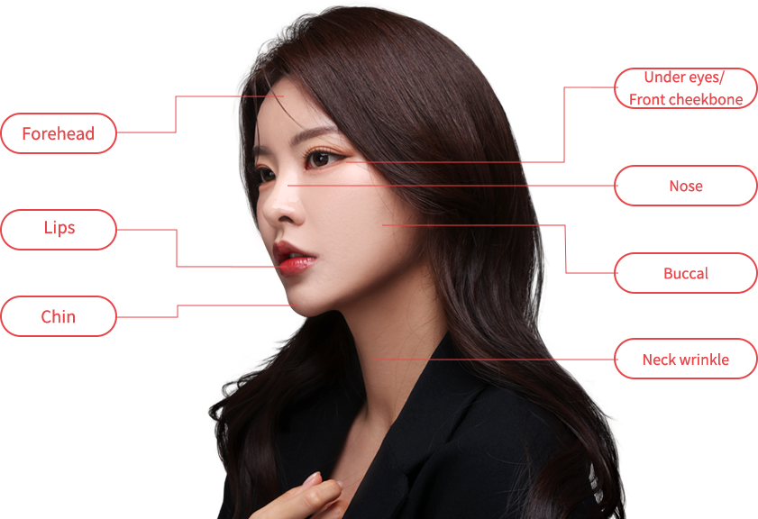 mobile region model img