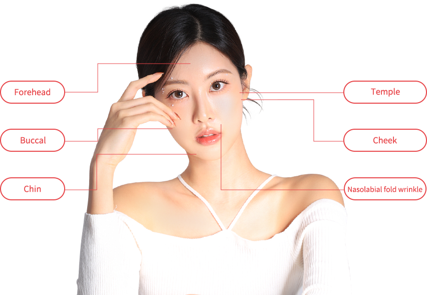 qofill region model img