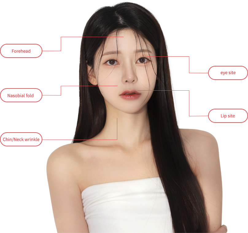 titamium region model img