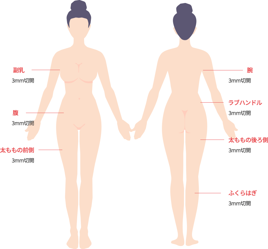 body_lip01_m model img