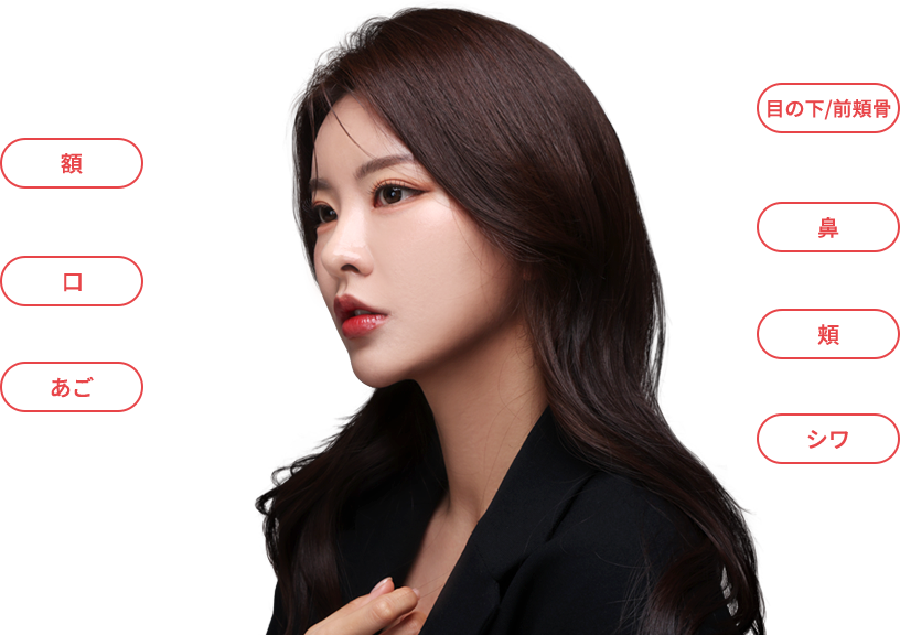 mobile region model img