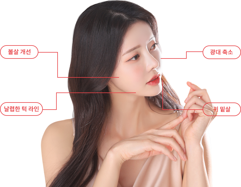 INJECTION region model img