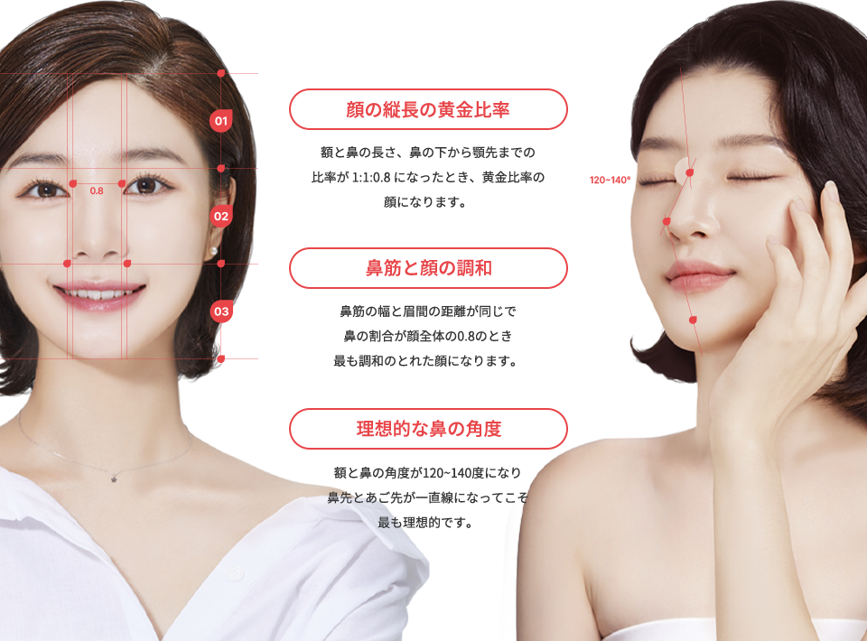 nose_rhinoplasty region model img