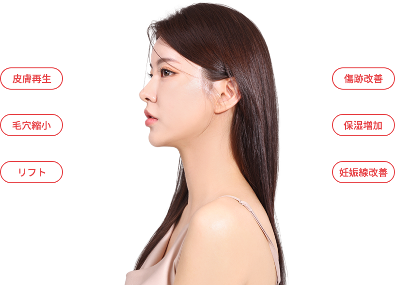 baby region model img