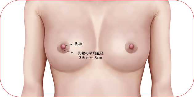 nipple_img10 