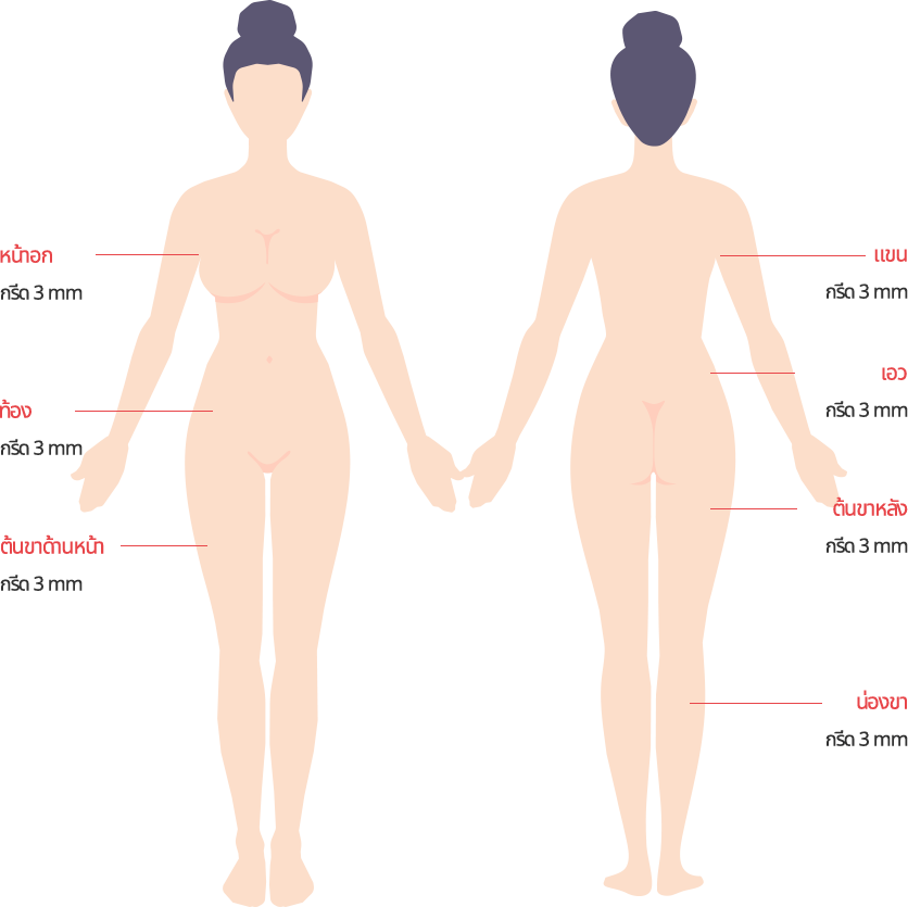 body_lip01_m model img