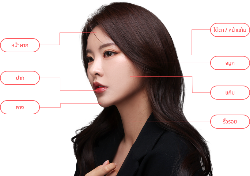 mobile region model img