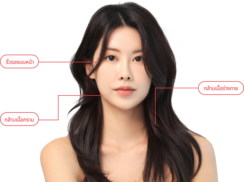 botox region model img