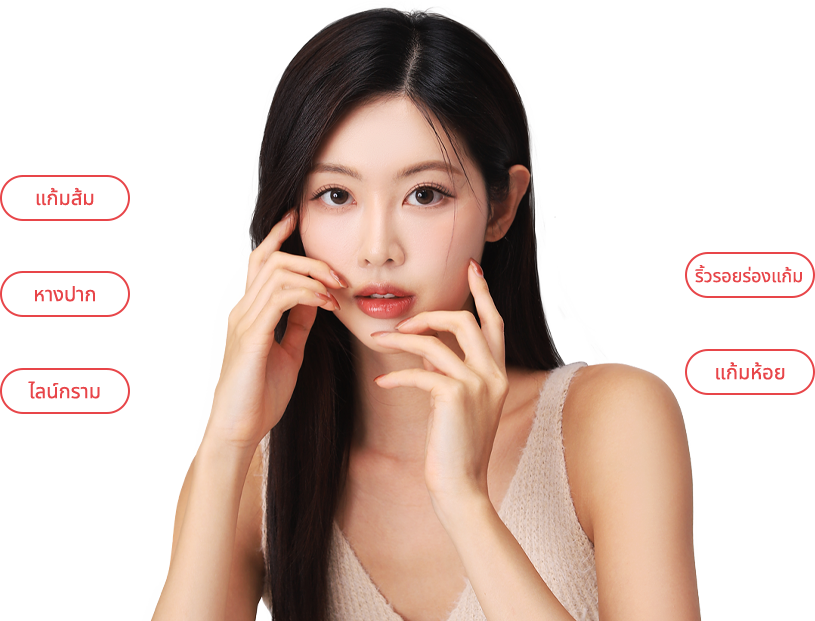 inmode region model img