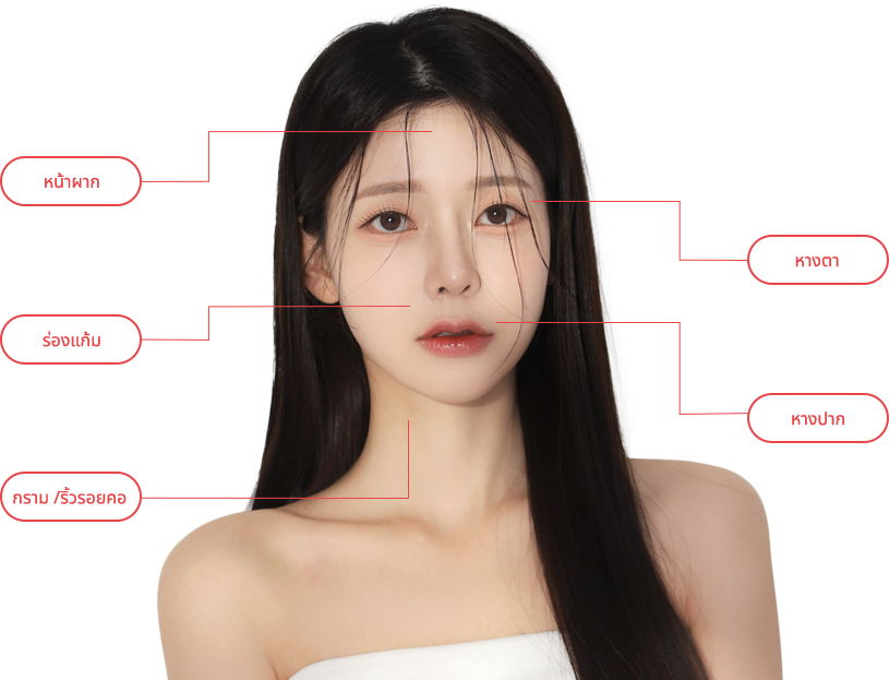 titamium region model img