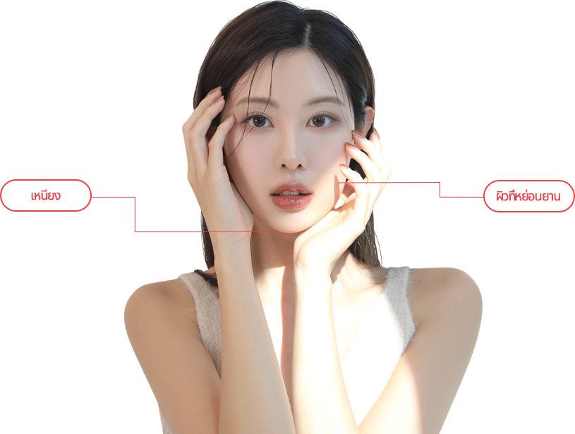 double_jaw model img