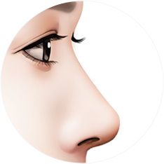 nose_type35