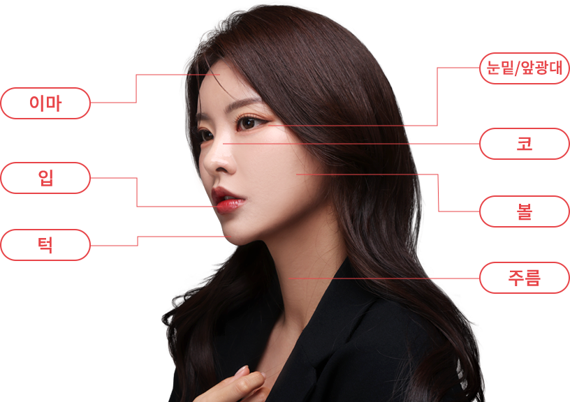 mobile region model img