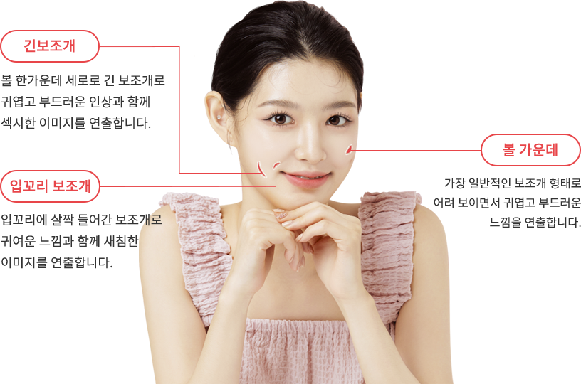 dimple region model img