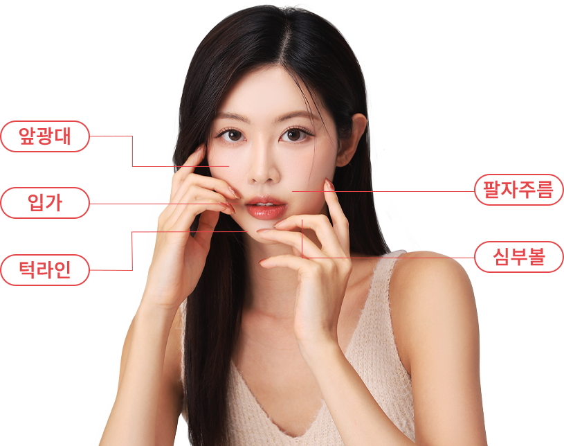 inmode region model img