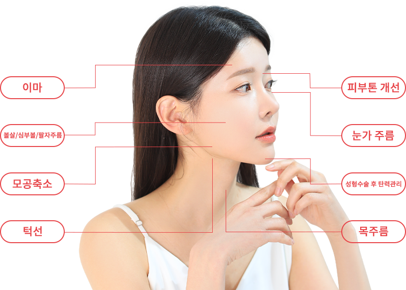 ulthera region model img