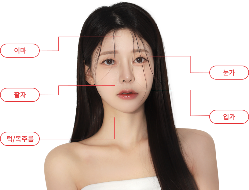 titamium region model img