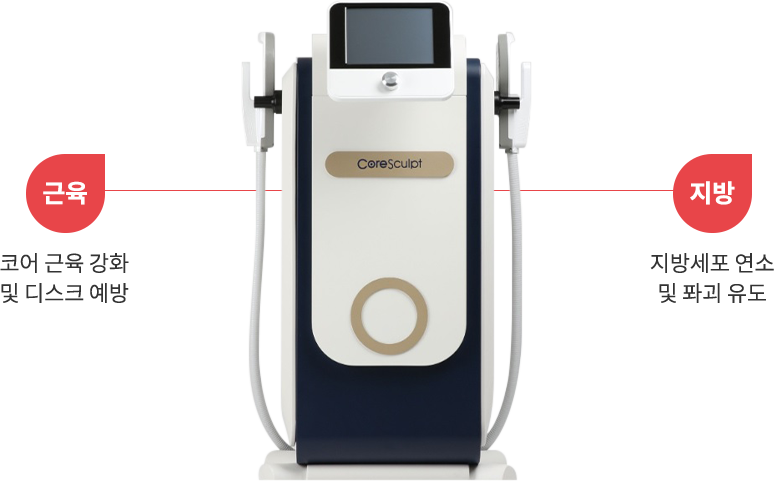 coresculpt region model img