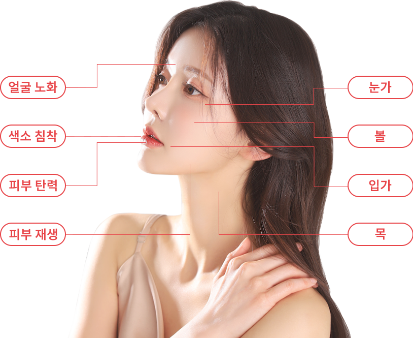 rejuran region model img