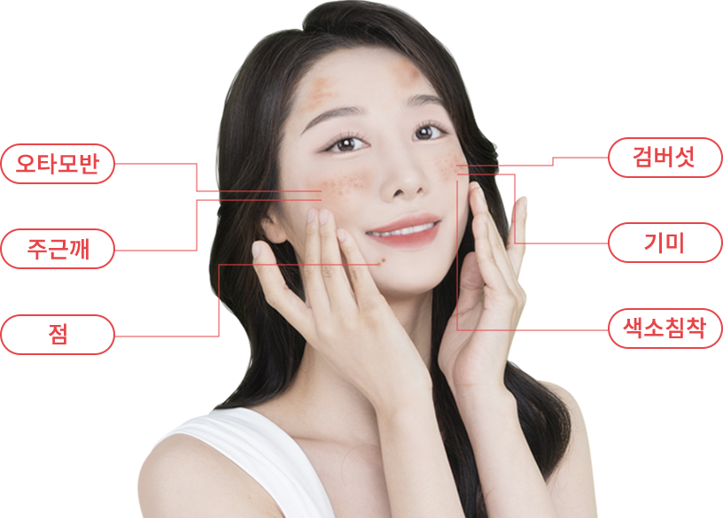 mobile region model img