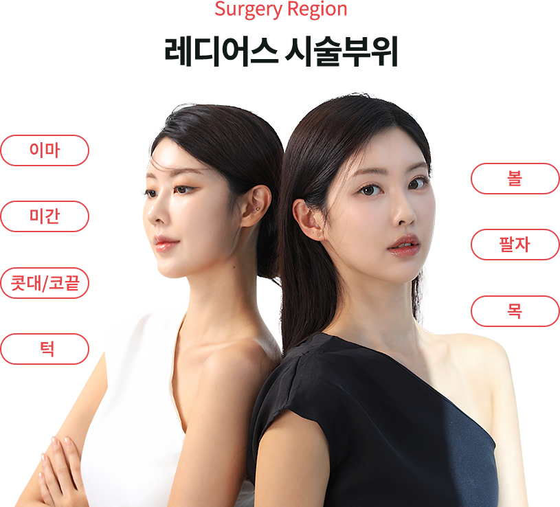 radiesse region model img