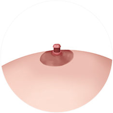 nipple_img04