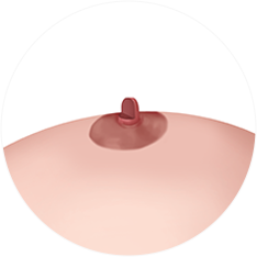 nipple_img07