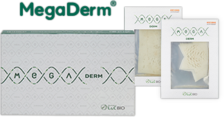 megaderm