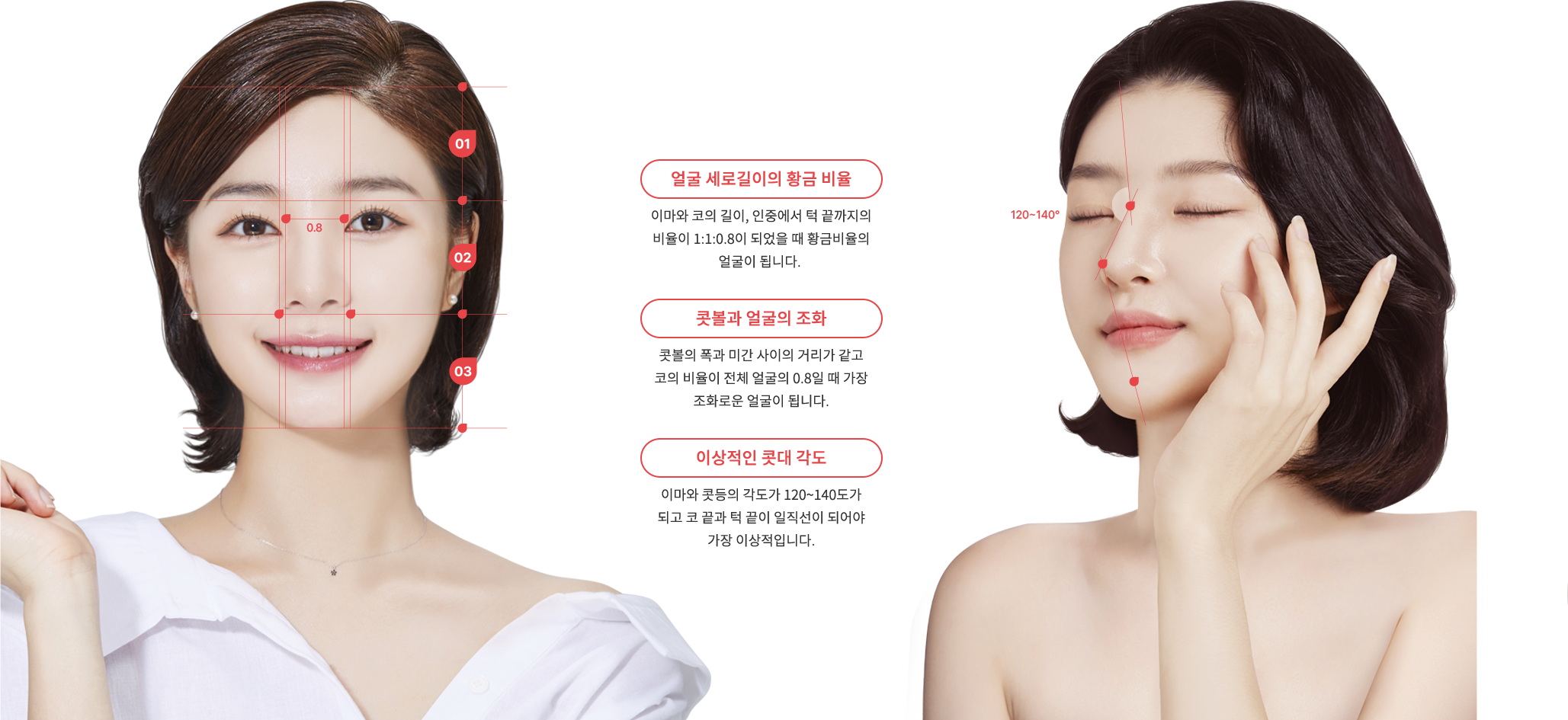 nose_rhinoplasty model img