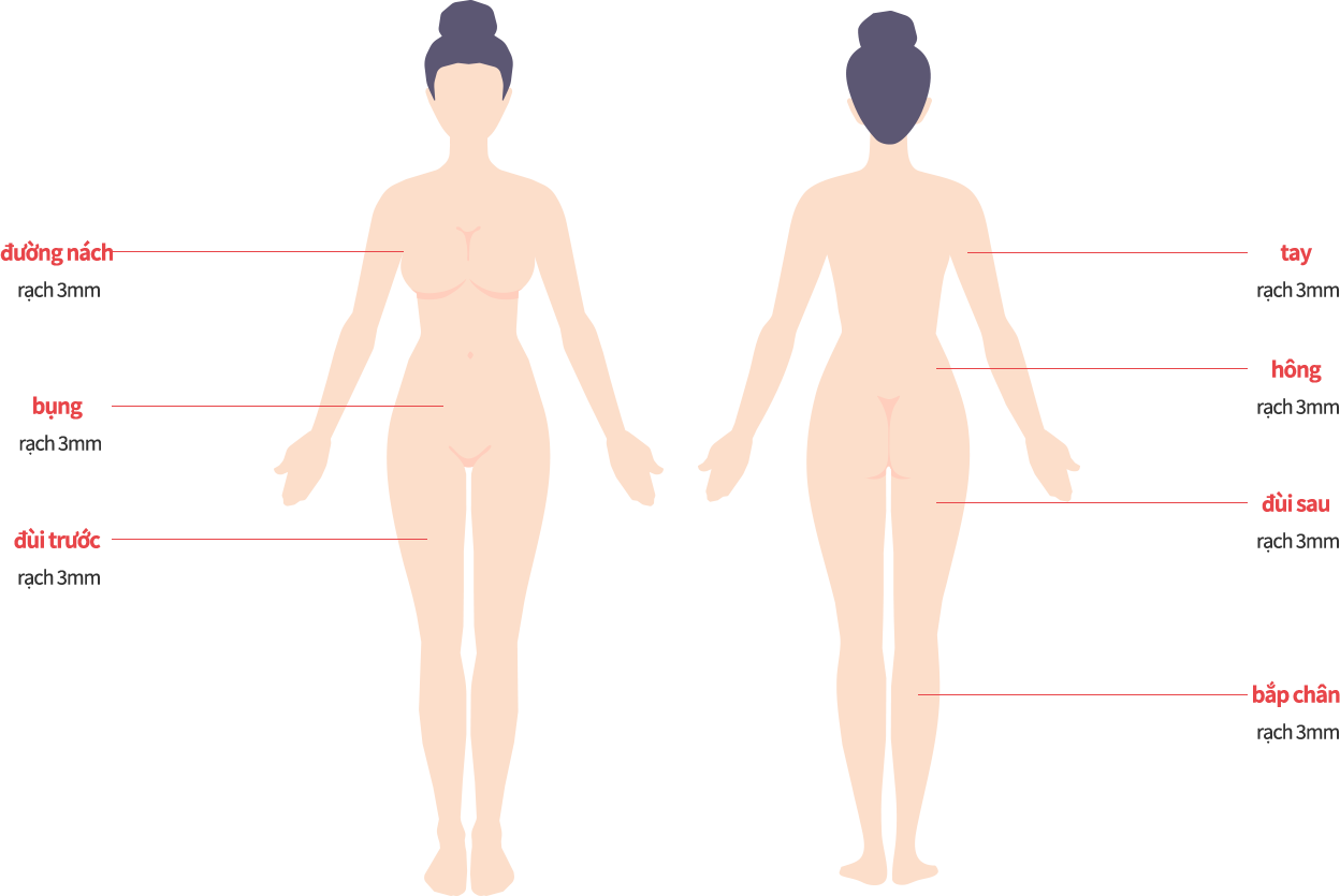 body_lip01 model img