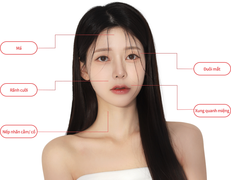 titamium region model img