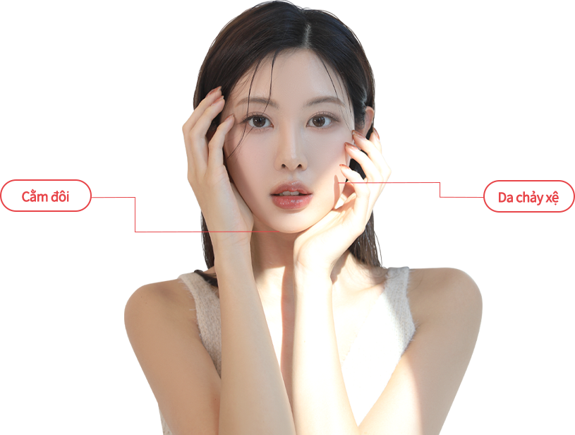 double_jaw model img