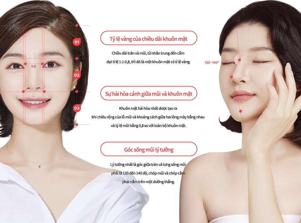 nose_rhinoplasty region model img