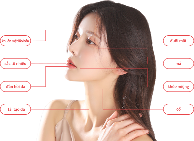 rejuran region model img