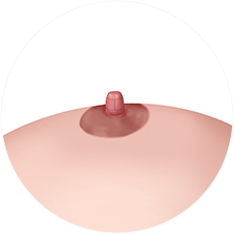 nipple_img02