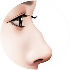 nose_type08