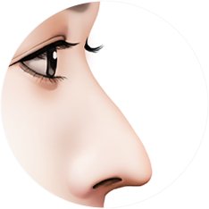nose_type23